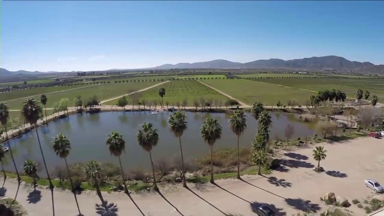 Valle Guadalupe, Baja California, MEXICO. VINEYARDS AND DRONE - YouTube