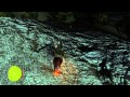 Red dead undead nightmare xbox 360 walkthrough