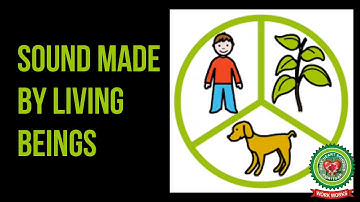 Sound and Noise Part 1 |Class 5 |Science |Holy Heart Schools