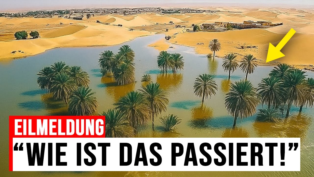 50 Jahre EXTREME TROCKENHEIT – und jetzt STEHT die SAHARA UNTER WASSER?!