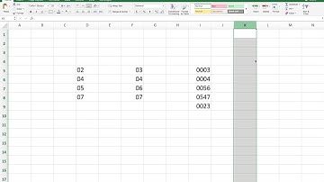 How to add Leading Zeros in Excel + Macro Tip!