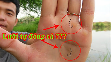Câu cá bằng lưỡi câu rất HOT ! Lưỡi tự lật, lưỡi tự đóng