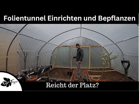 Setting up and planting a polytunnel | Is there enough space?