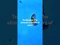 Tardigrades: The Ultimate Survivors of Space!#shorts# Tardigrades #SpaceSurvival #NatureDocumentary