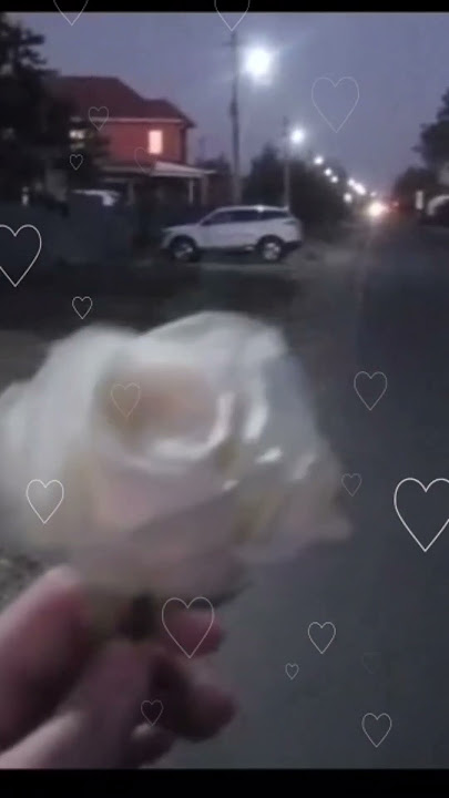Siz Allah bagışlayin bunu paylaşdihimçun amma ureyim partdiyir..Vallah bele olmaz......