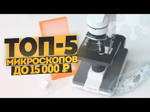 ТОП-5 микроскопов до 15 тысяч рублей