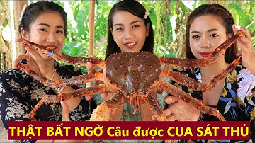 Về Bình Đại Bến Tre câu tôm không ngờ dính ngay con CUA SÁT THỦ || NUTURE TEAM