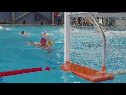 Waterpolo Delfin 2025