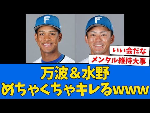 【判明】万波水野「すごいイライラすんな」【プロ野球反応集】