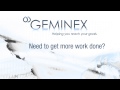 Geminex demo