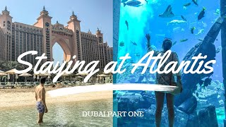 Lost chambers aquarium ...