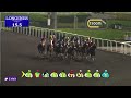 Race 1 - Mazrat Al Ruwayah Prep For The Baileys Cup