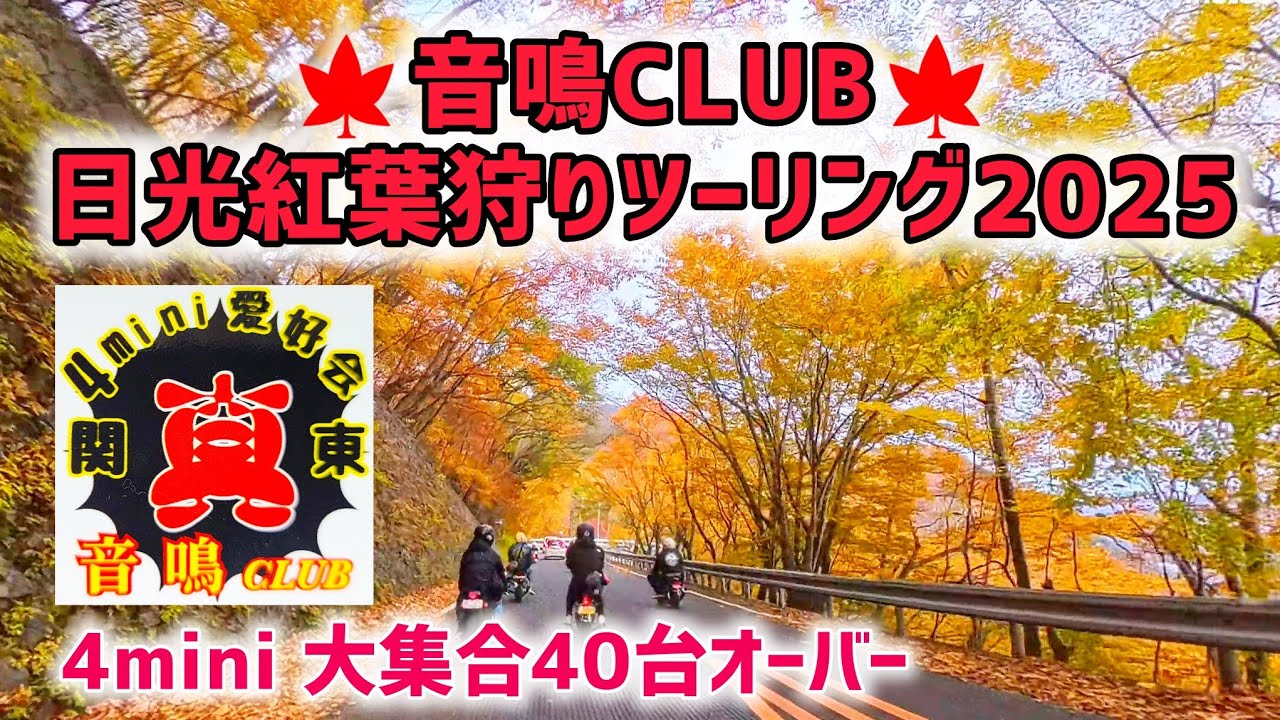 【4mini】音鳴CLUBさんの、日光紅葉狩りツーリングに参加してきました🍁