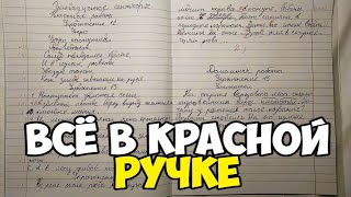 Проверяю рабочие тетради по русскому языку - 4 класс #4