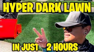 DARK LAWN IN 2 HOURS 🌚 FASTEST METHOD ON YOUTUBE! Proven Results!