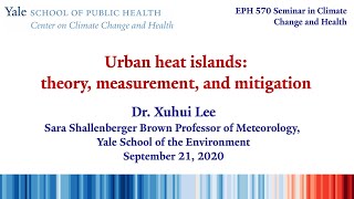 "Urban heat islands: theory, measurement, and mitigation"