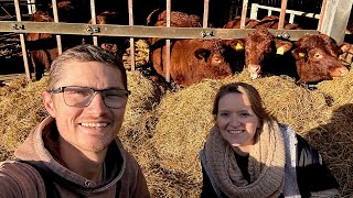 Meet Our Cows! Family Farming At It's Best!