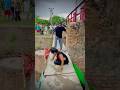 This is not a real video, it has been made with complete safety only to entertain you.