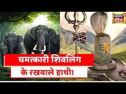 Chhattisgarh | चमत्कारी शिवलिंग की तलाश, जिसकी रखवाली कर रहे हाथी! | Aadhi Haqeeqat Aadha Fasana