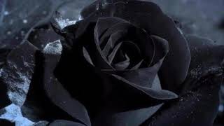 Black Roses s L O W E D By Charli Xcx