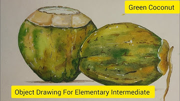 How to draw easy Green Coconut / Object drawing for Elementry Intermediate Exam 