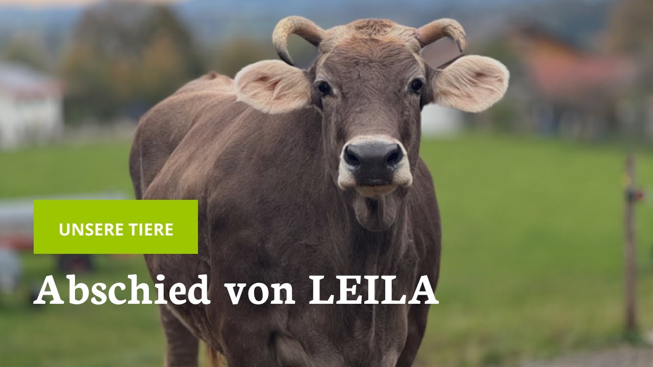 Wir nehmen Abschied von LEILA