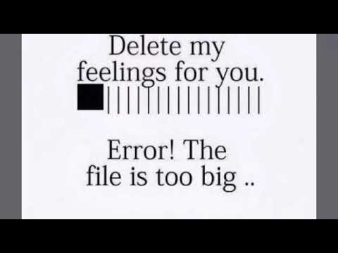 Whatsapp Status