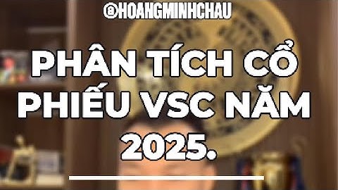 PHÂN TÍCH CỔ PHIẾU VSC NĂM 2025.