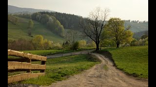 🔝 ХуДоЖнИкИ | Рисуем вместе | Онлайн трансляция | Александр Долинский