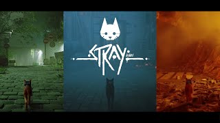 Off The Path | Stray Tribute