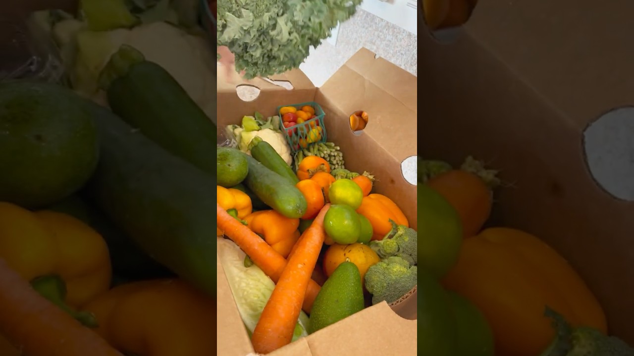 Help Keep our Wheels Turning in 2026!