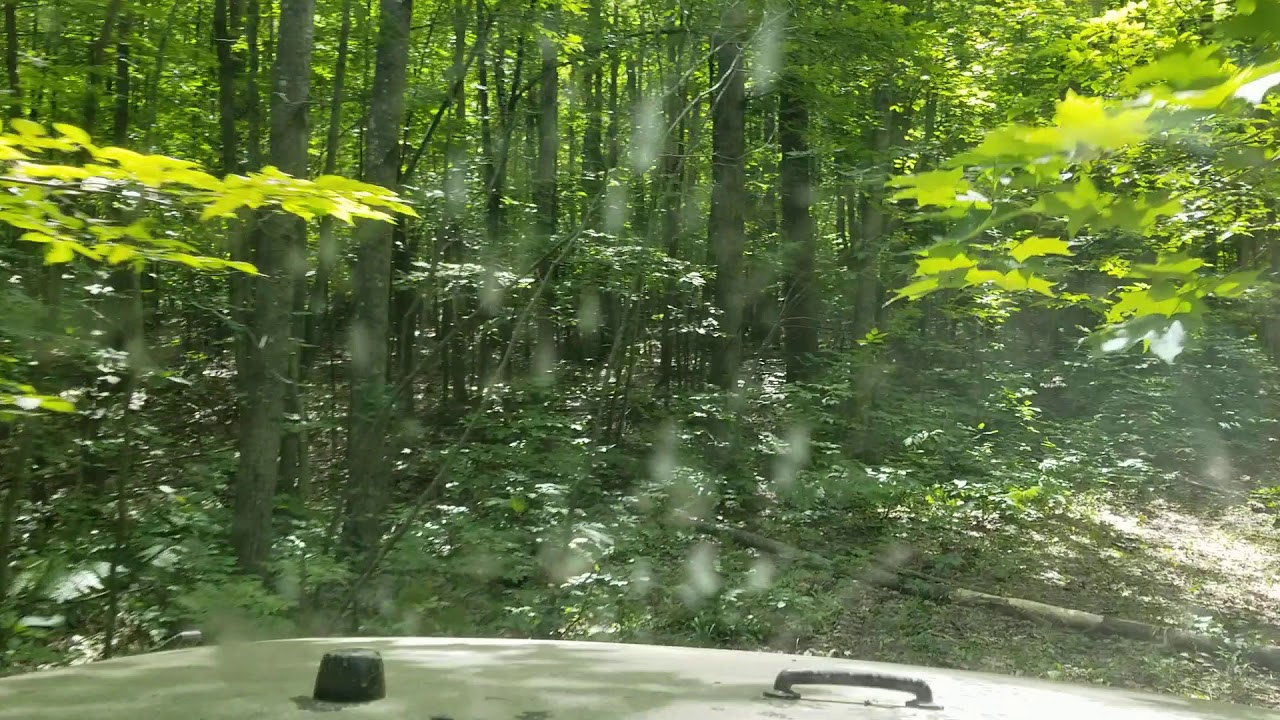 Old forest Rd near Glennie Mi - YouTube