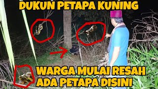 Danger‼️yellow hermit shaman disturbs residents looking for grass for livestock | latest dang rajo