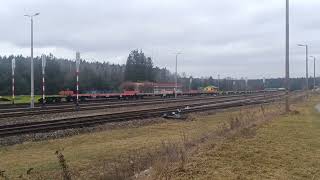 Platformers Niemiecki W Zwierzyńcu