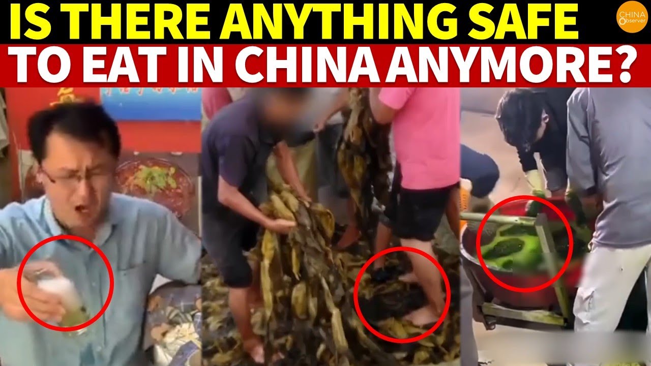 Pee Beer, Fake Tofu,FootStomped Pickles,Rat Hotpot Is There Anything