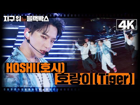 [지구 위 블랙박스 4K] HOSHI(호시) - 호랑이(Tiger)ㅣKBS 방송