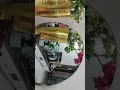 Live highlight