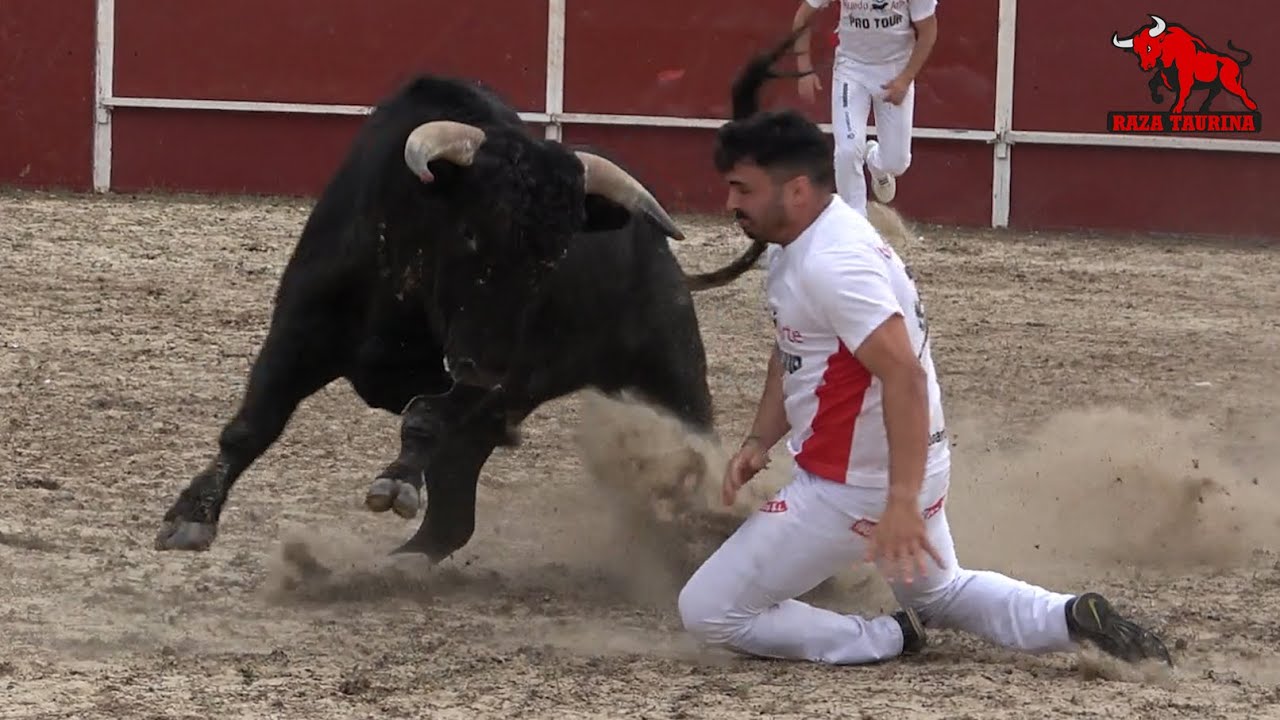 Gran concurso de recortadores. Grijota. 30 Junio 2024