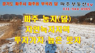 파주농지  자연녹지지역 투자가치높은토지 도로접 파주역인근토지 투자 할만한좋은땅 파주답 파주읍5분 개발가능높은토지 파주토지매매 파주농지매매  도로접토지매매 파주부동산tv