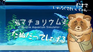 【マチョリウム】癒しがほしい・・・【詰草マカロル/狸Vtuber】