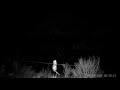 1 7 21 Pole Dancing Opossum