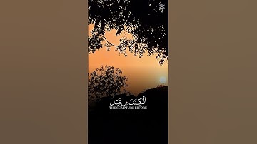 القران الكريم #likeandsubscribe #المصحف 🎧💯👍♥️ ولك اجر في نشر وحفظ القرآن الكريم #لايك