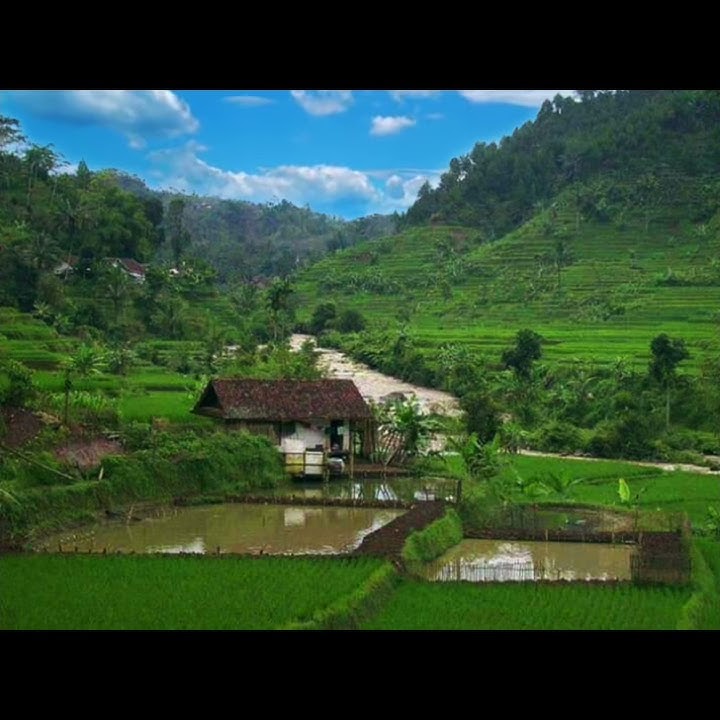 Suling Sunda Merdu Tema Pemandangan | Realaxing Sound | Free Download Status Whatsapp 30 Detik 1080p
