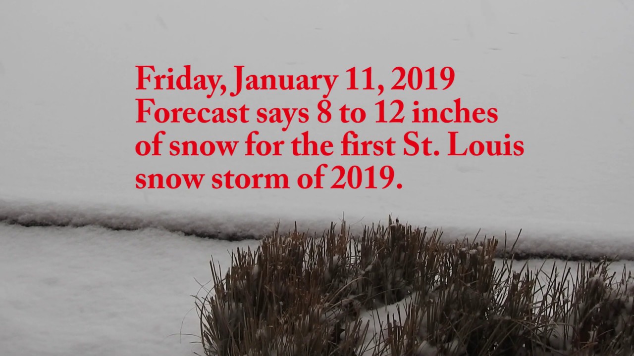 St Louis Snow Storm 2019 - YouTube