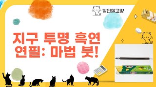 지구 투명 이색연필 검정: 미술 초보도 반하는 흑연의 마법! (12자루)