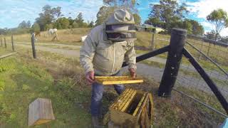 Beehive Spring Management