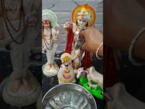 जय श्रीकृष्ण स्नान पूजन #खाटु #खाटूश्याम #trendingshorts #reels