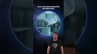 Celebrity What If Birds Were Actually Government Surveillance Drones? #Shorts Wealth