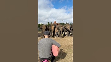 When they start Singing 😭❤️‍🩹 Merci @pairidaizaofficial pour l’accueil 🫶