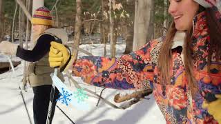 C'mon Up to Traverse City, MI | Plan Your Winter Escape